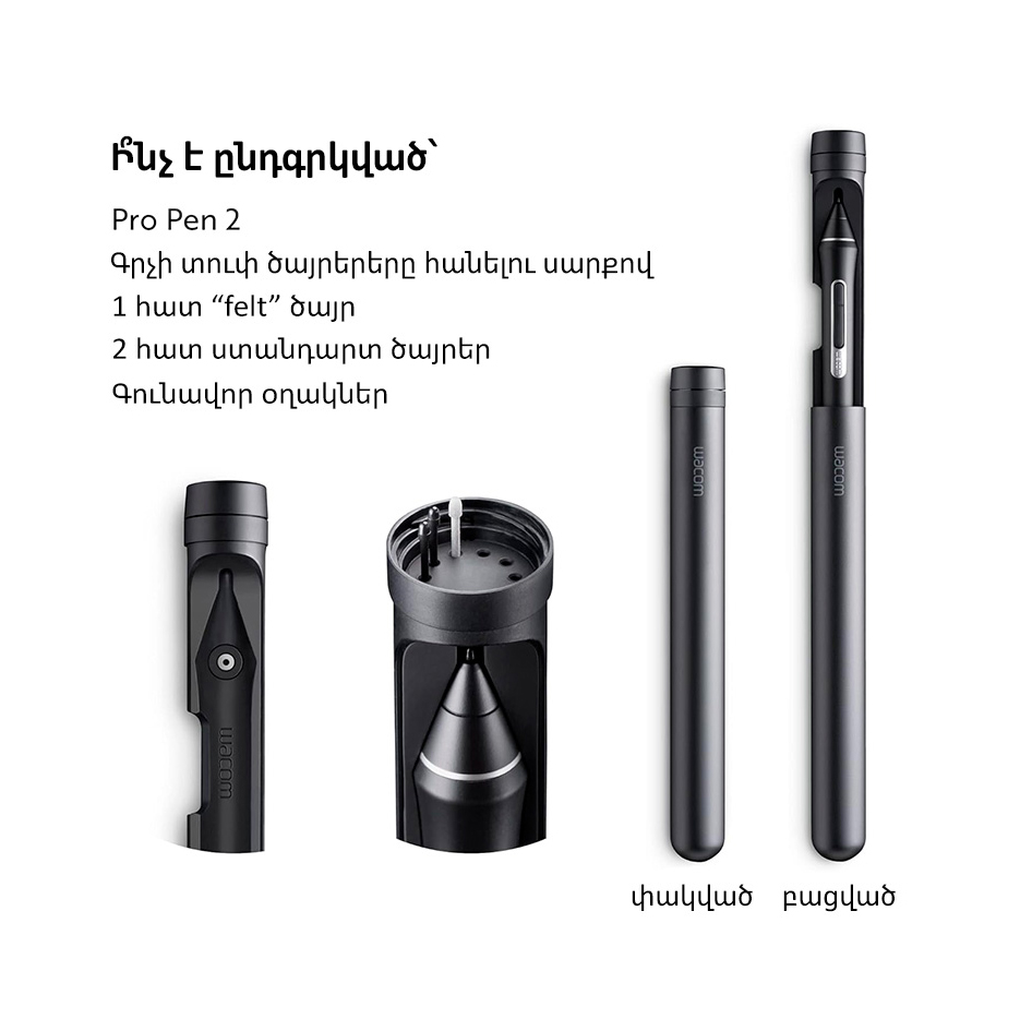 Wacom Pro Pen 2 Armenia - Digital Artist 2